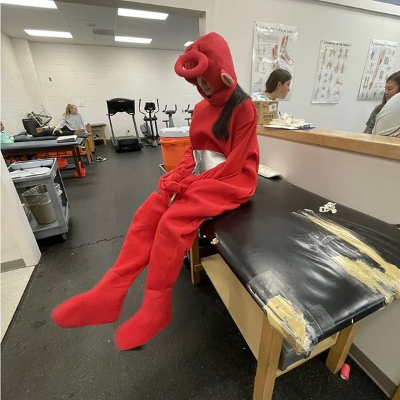 Meet your Posher, Ava - Picture 1 of 1